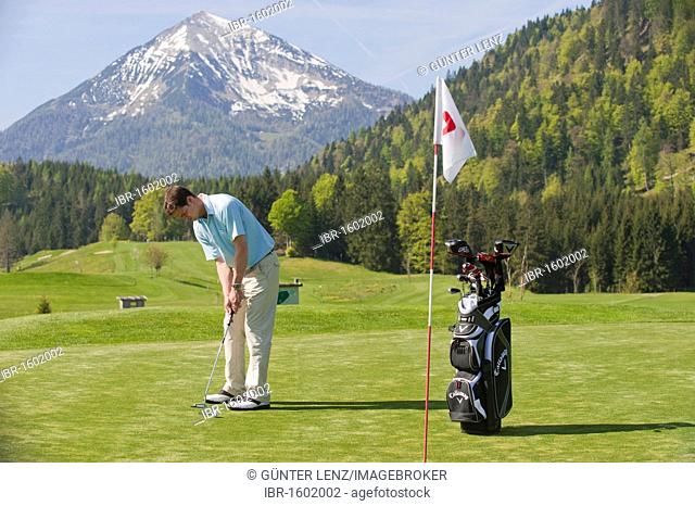 Golfer putting, alpine golf course, Achenkirch, Tyrol, Austria, Europe