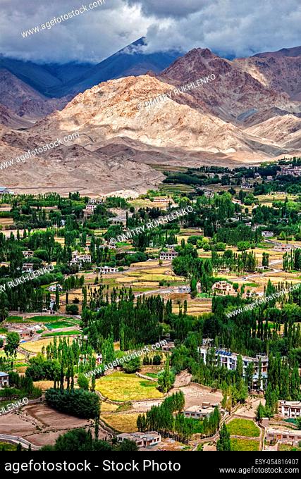 Aerial view of houses in Indus valley in Leh city in Ladakh (Little Tibet) and Himalayas mountains. Ladakh, Jammu and Kashmir, India