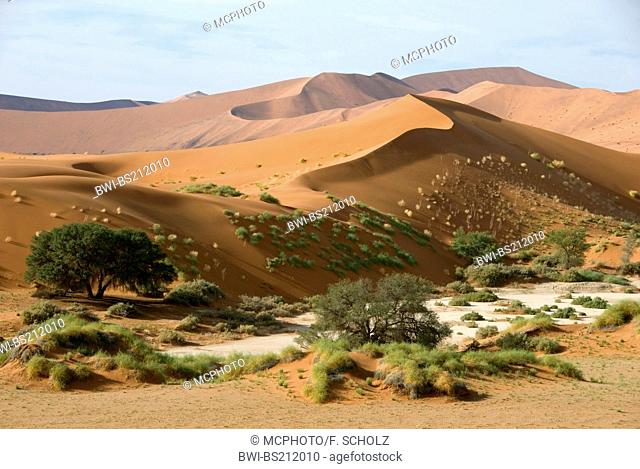 namib desert; dunes of Sossusvlei, salt deposit, Namibia