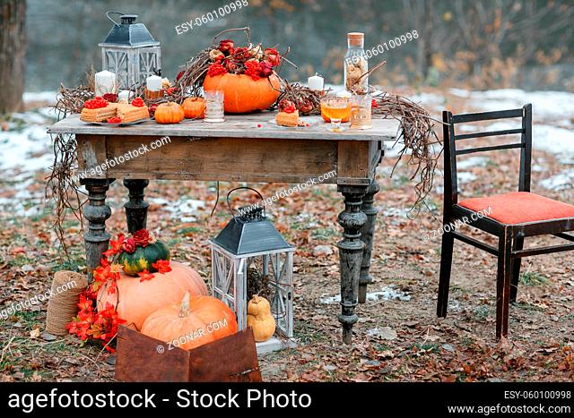 halloween inspiration. Autumn still life. pumpkin, dry roses, viburnum honey cake. Honey in a vase. dry twigs. on the table