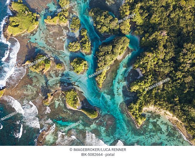 Aerial view, tropical forested islands with mangroves in the sea, Escudo de Veraguas, Panama, Central America