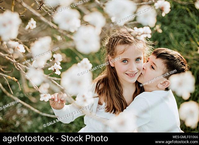 Brother kissing while embracing sister by almond tree