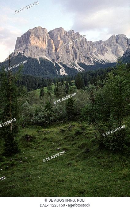 Dolomite walls in Antersass Valley (UNESCO World Heritage List, 2009), at Longiaru (Campill), Puez-Geisler Nature Park, Trentino-Alto Adige, Italy