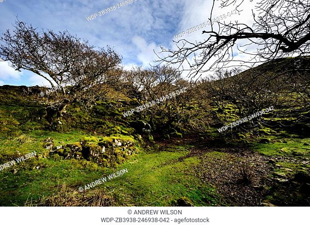 The Fairy Glen, (Glen Uig), Trotternish Peninsula, Isle of Skye, Scotland