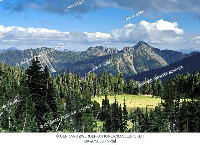 Governor's Ridge mountain range at Mount Rainier National Park, Washington, USA