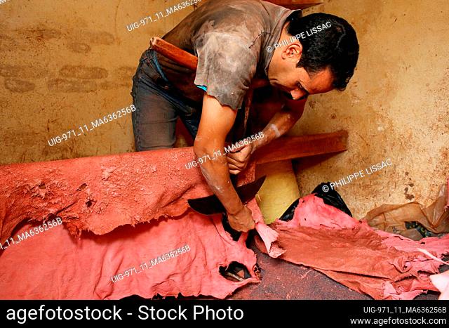 Tannery worker in Fes medina (old city), Morocco