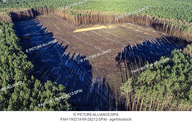 15 February 2019, Brandenburg, Treuenbrietzen: Large areas of the burnt forest near the federal highway 102 have already been cleared (aerial photograph with a...