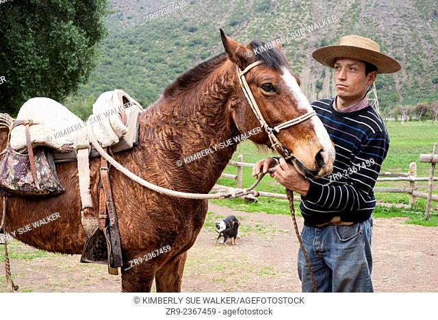 Chilean cowboy adjusts the reins on his horse on a ranch in El Toyo region of Cajon del Maipo, Chile, South America