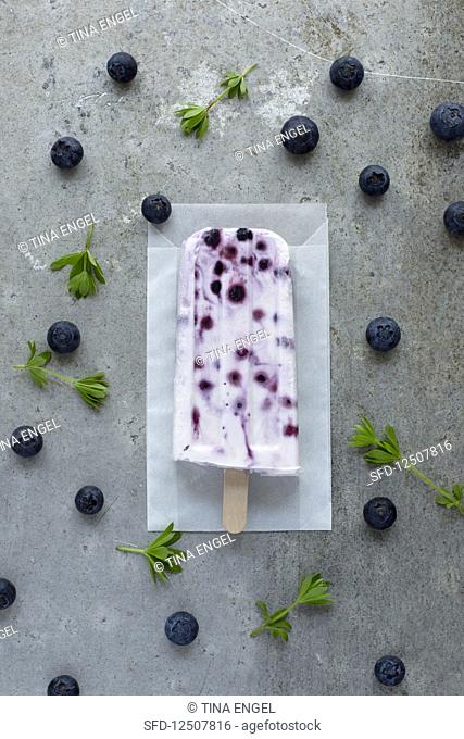 A blueberry yoghurt ice cream stick (seen from above)
