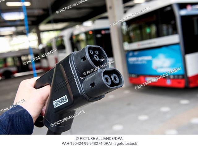 24 April 2019, Hamburg: A charging cable is held in front of electric buses at the new Hamburger Hochbahn depot in the Alsterdorf district (staged scene)