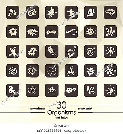 organisms modern icons for mobile interface on blurred background