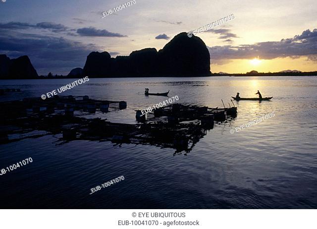 Fish farm with people in long boats silhouetted at sunset