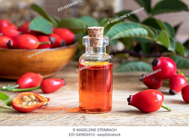 A bottle of rosehip seed oil with fresh plant