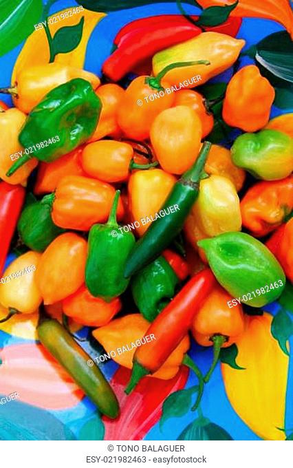 chili Habanero Serrano hot mexican peppers