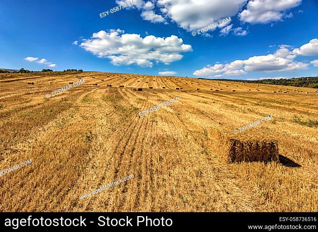 Scenic view of hay bales on the field after harvest