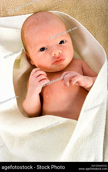 newborn (3 weeks old) boy in the towel