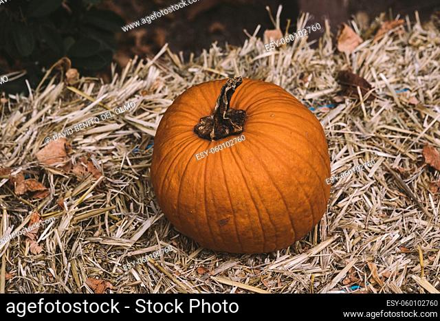 A pumpkin over a block of straw in a rural Halloween scene