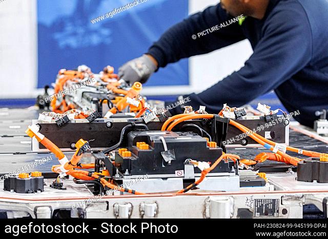 24 August 2023, Hamburg: An employee of European Metal Recycling (EMR) disassembles a car battery pack into recyclable parts