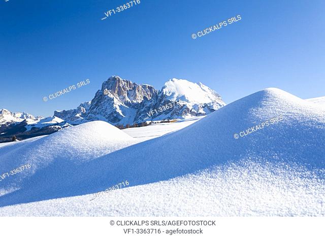 Snowdrift at Alpe di Siusi / Seiser Alm with Sassopiatto and Sassolungo in background, Dolomites, South Tyrol, Italy