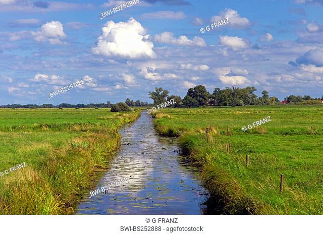 riverside pastures with drainage channel, Germany, Lower Saxony, Ritterhude