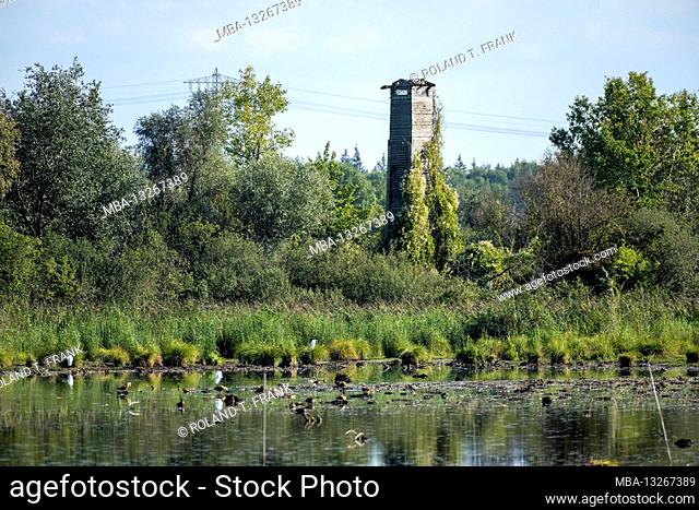 Germany, Baden-Wuerttemberg, nature reserve Wagbachniederung