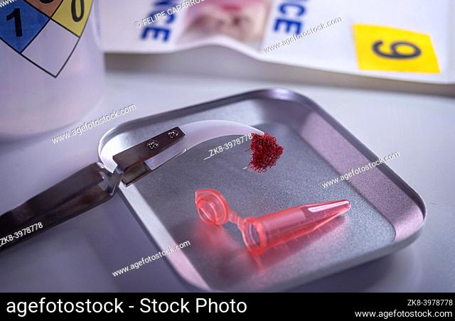 Police scientist examines bloodstained gauze from a drug overdose case, conceptual image