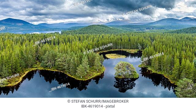 Overview of Loch Morlich, Glenmore Forest Park, Cairngorms National Park, Highlands, Scotland, Great Britain