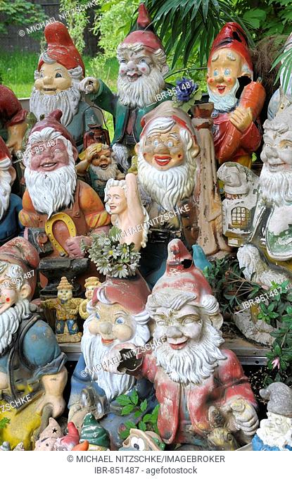 Ceramic figurines, garden gnomes