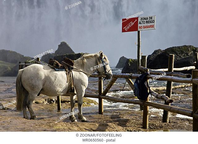 Pferd am Salto del Laja Wasserfall, Chile, Horse at Laja Falls, Chile