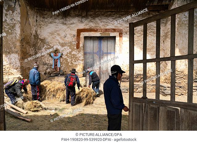 12 August 2019, Peru, Marcapanta: On the area of a church reed piles are laid ready. Villagers will use it to renovate the roof of an 18th century Jesuit church