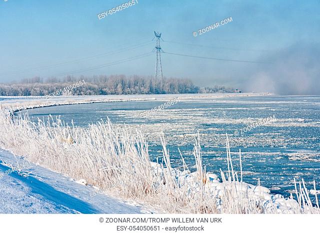 Dutch winter landscape with frozen lake and reed covered with hoarfrost