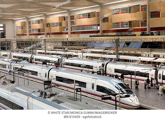 AVE high-speed bullet trains waiting at the platforms of the Estacion de Delicias train station in Saragossa or Zaragoza, Aragon, Spain, Europe
