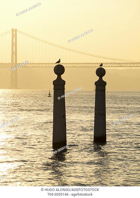 Seagulls and Ponte 25 de Abril. Lisbon city. Portugal