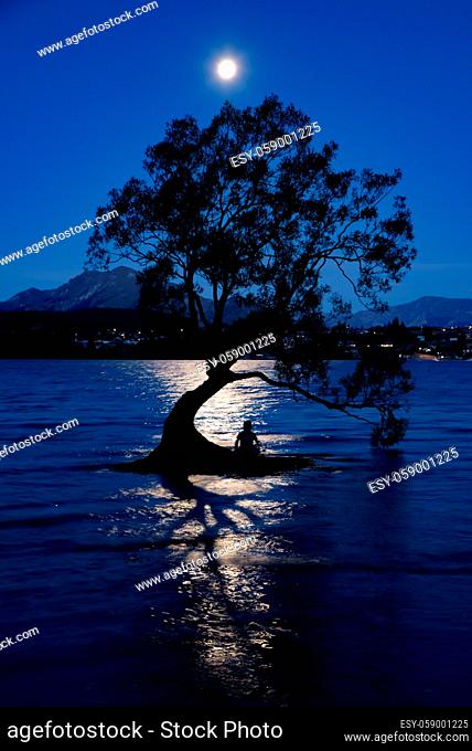 Night view of Wanaka tree and Lake Wanaka in moonlight, New Zealand