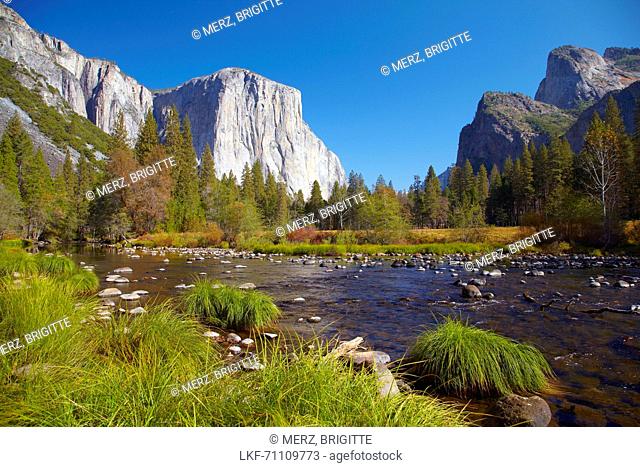 View at Merced River and El Capitan , Yosemite National Park , Sierra Nevada , California , U.S.A. , America