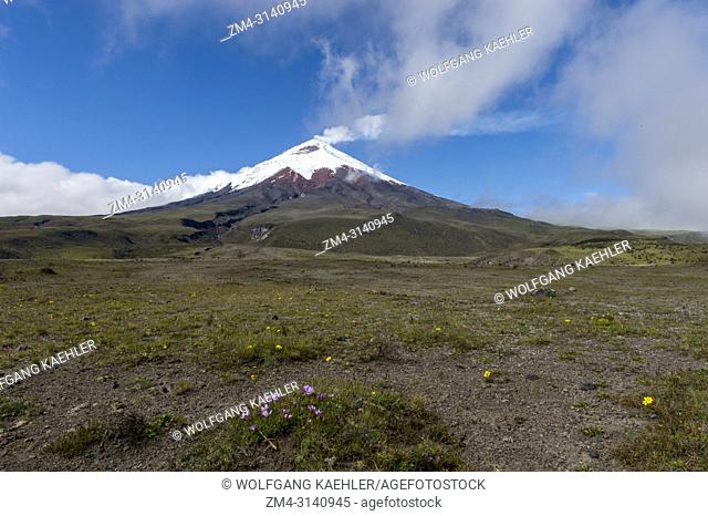 View from the Cotopaxi National Park of Cotopaxi volcano (5, 897 meter, 19347 feet high), an active stratovolcano in the Andes Mountains near Quito, Ecuador