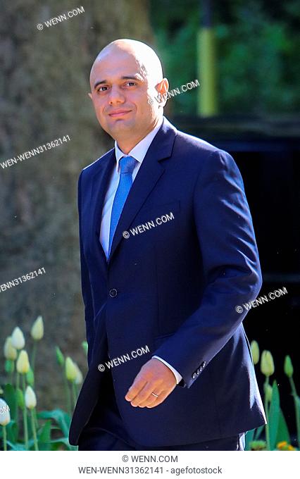 Minister attend the weekly Cabinet meeting at 10 Downing Street Featuring: Sajid Javid Where: London, United Kingdom When: 25 Apr 2017 Credit: WENN