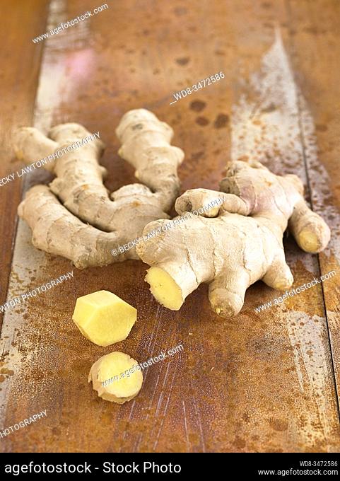 raiz de jengibre / ginger root