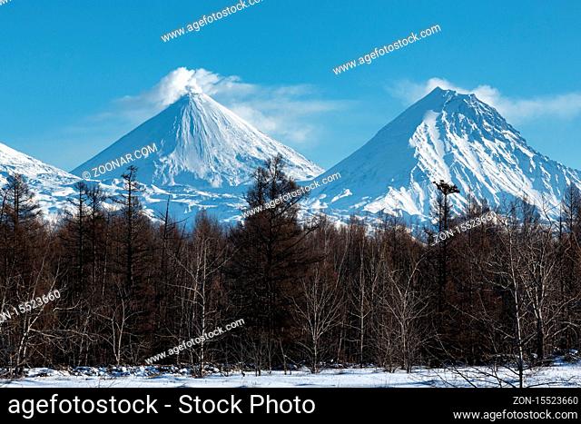 Kamchatka winter volcanic landscape: eruption active Klyuchevskoy Volcano, snowy Kamen Volcano and scenery winter forest