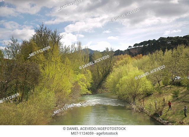 Los Llanos park, Estella, Lizarra, Navarra, Navarre, Spain