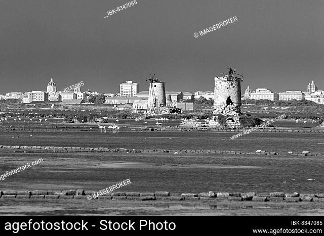 Ruins of windmills for salt production, salt pans with flamingos in front of the town, black and white photograph, Riserva naturale orientata saltworks di...