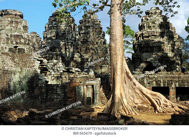 Massive roots growing on the ruins of Banteay Kdei temple, Angkor Wat, Cambodia