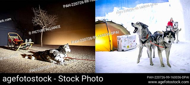 26 July 2022, Bremen, Bremerhaven: The image combo shows the sled dogs of dog handler Kranz from the husky farm Ridderade in the Klimahaus Bremerhaven in a...