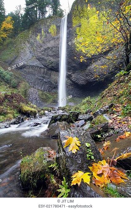 Latourell Falls Oregon in Autumn
