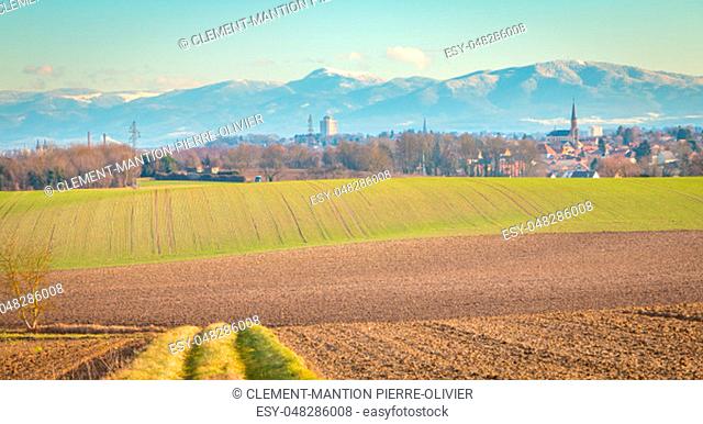 view of a field in the countryside near the Vosges mountains and the town of Morschwiller le Bas in France