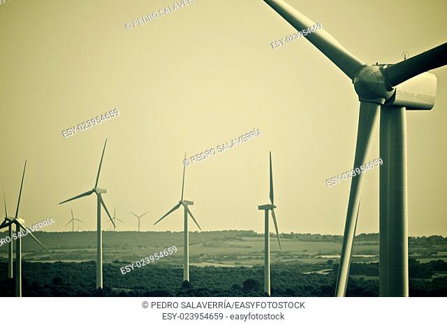 aligned group of windmills for renewable electric energy production, Zaragoza provine, Spain, Spain