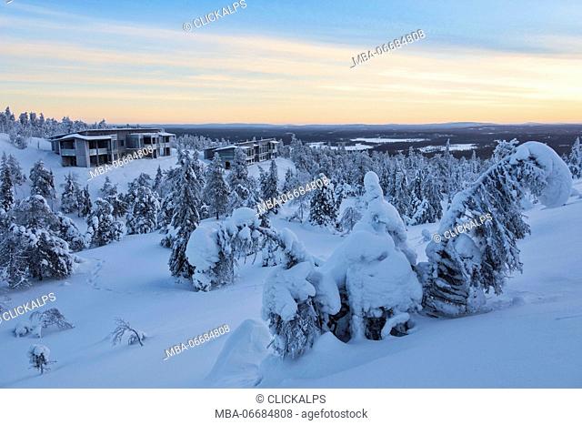 Trees covered with snow in the wild arctic landscape Ruka Kuusamo Ostrobothnia region Lapland Finland Europe