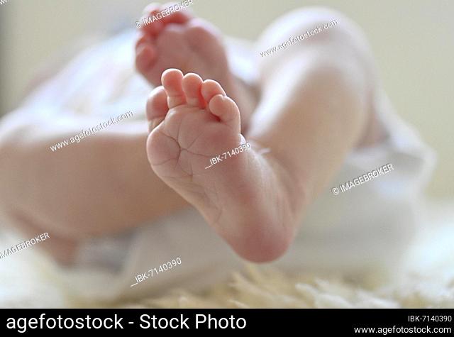 Baby feet, infant, girl, 10 days, Stuttgart, Baden-Württemberg, Germany, Europe