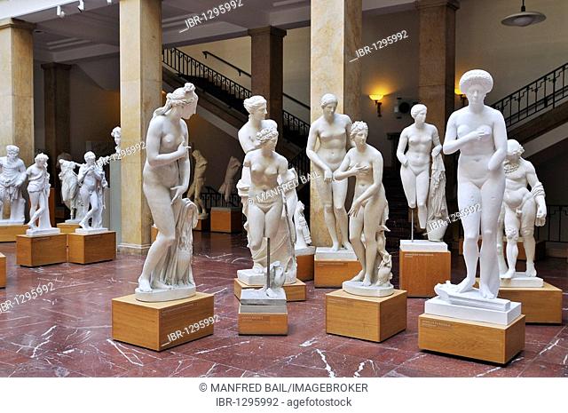 Venus, Aphrodite, casts, Museum fuer Abguesse Klassischer Bildwerke museum of casts of classical statues, Meiserstr. 10, Munich, Bavaria, Germany, Europe