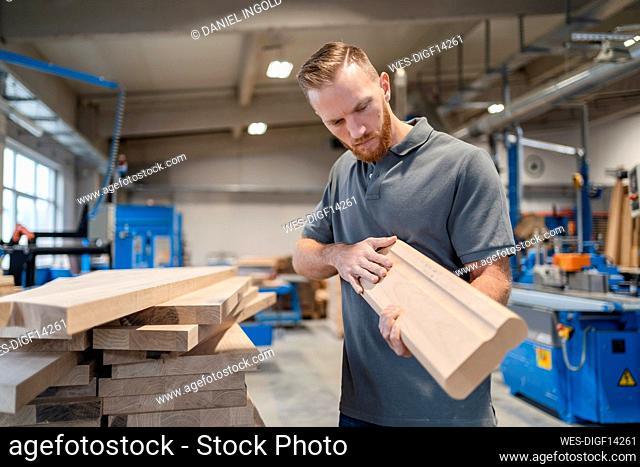 Portrait of carpenter examining plank of wood
